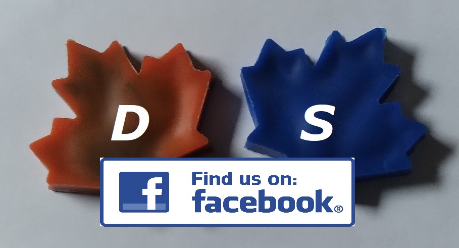 DS-fb DS-fb